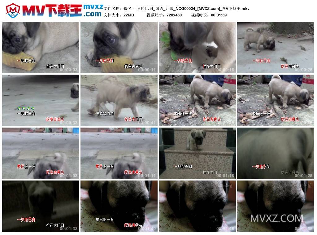 佚名-一只哈巴狗_国语_儿歌_NCG00024